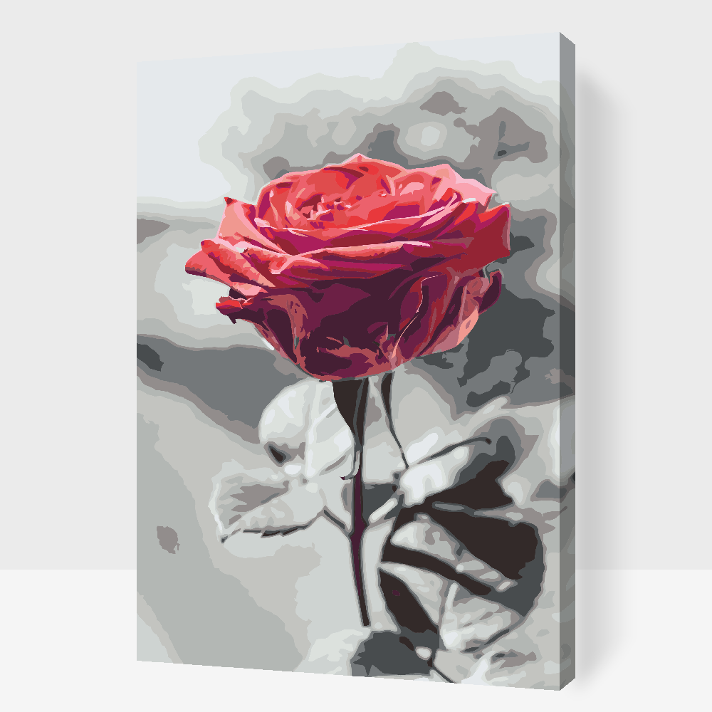 Malování podle čísel - Blooming Rose